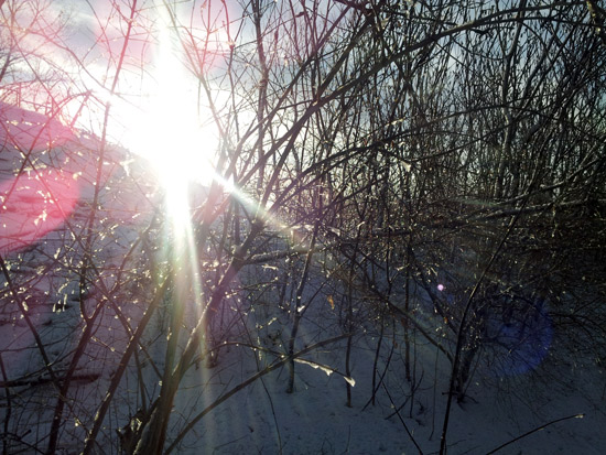 March Snow Scene - Photo by Lady