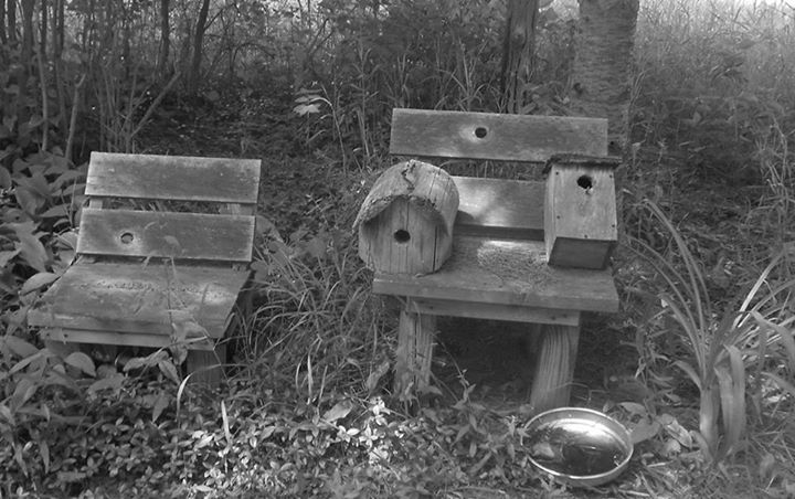 Birdhouse Chairs by cm brooks