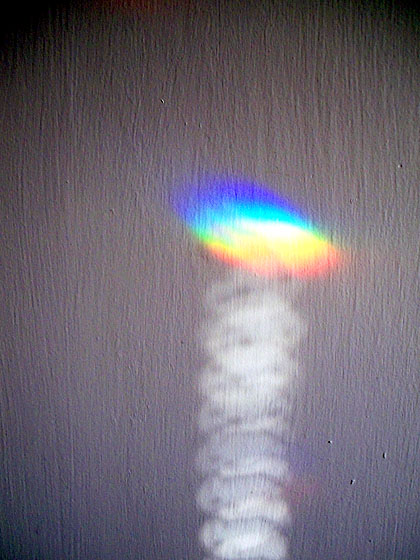 Rainbow Jellyfish - Steven B. Smith
