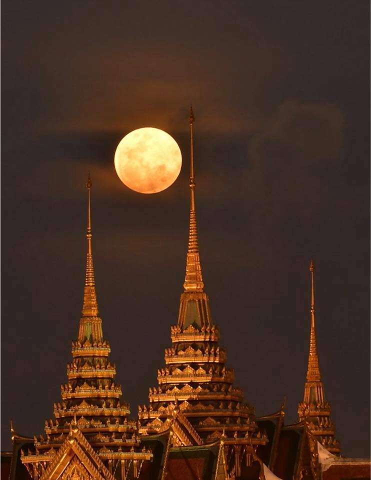 big ole bangkok moon by larry collins